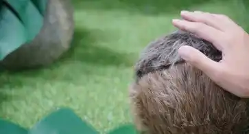 【城西国際大学】2025 アジアデジタルアート大賞展 FUKUOKAで優秀賞を受賞!