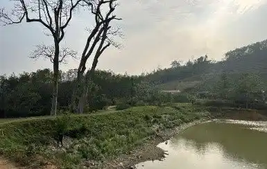 圧入工法を用いた鋼矢板遮水壁のダム漏水対策への効果をベトナムで実証