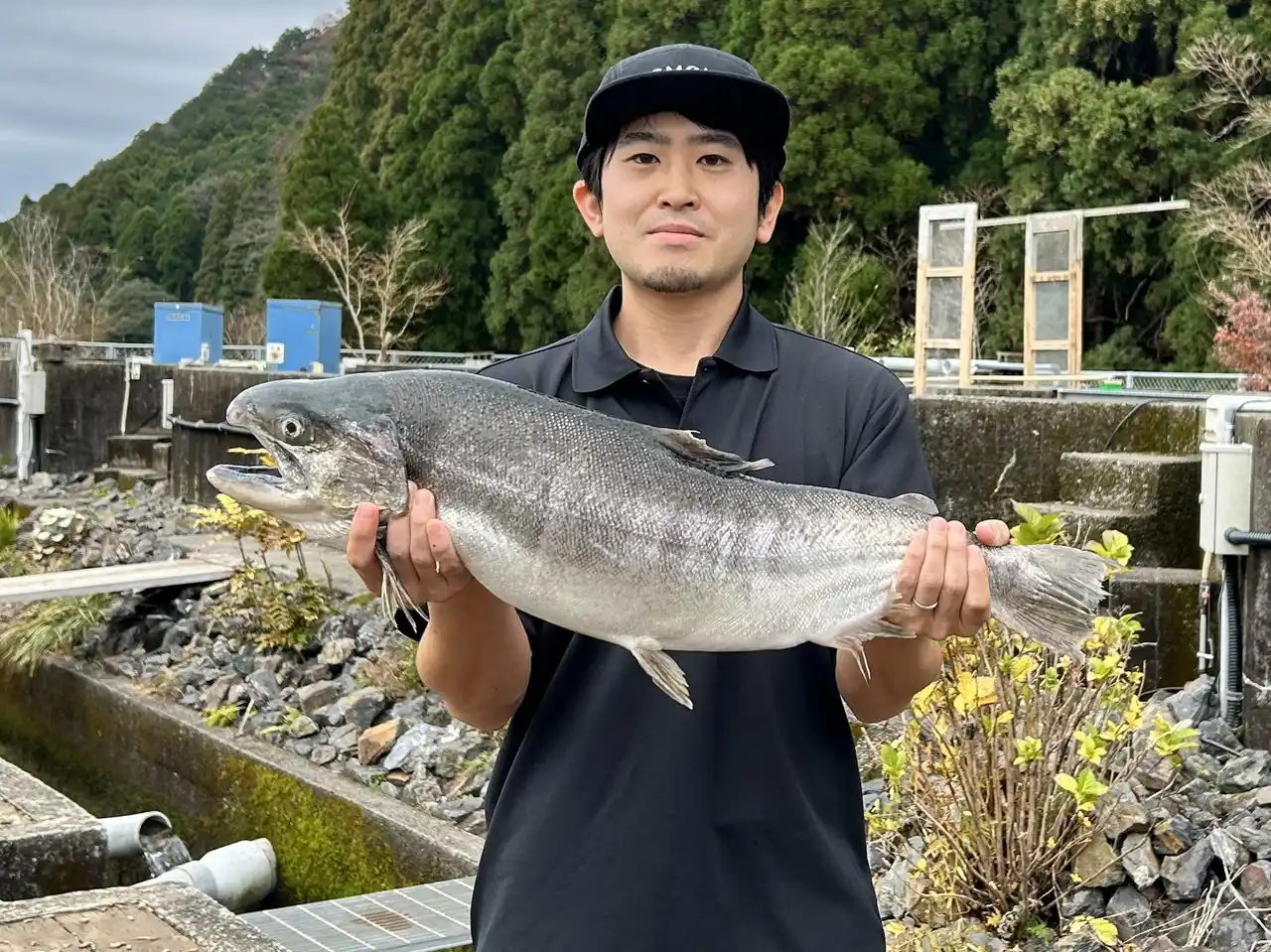 【株式会社Smolt】 温暖化に負けない「4kg」の巨大養殖サクラマス誕生。 大学発ベンチャーの Smoltが独自の育種技術で養殖の常識を打破。