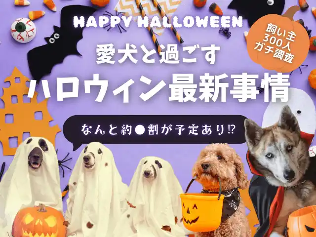 【株式会社エイト】 【飼い主400人に調査】●割が愛犬とのハロウィンに向けて準備中!リアルな過ごし方ランキングTOP5