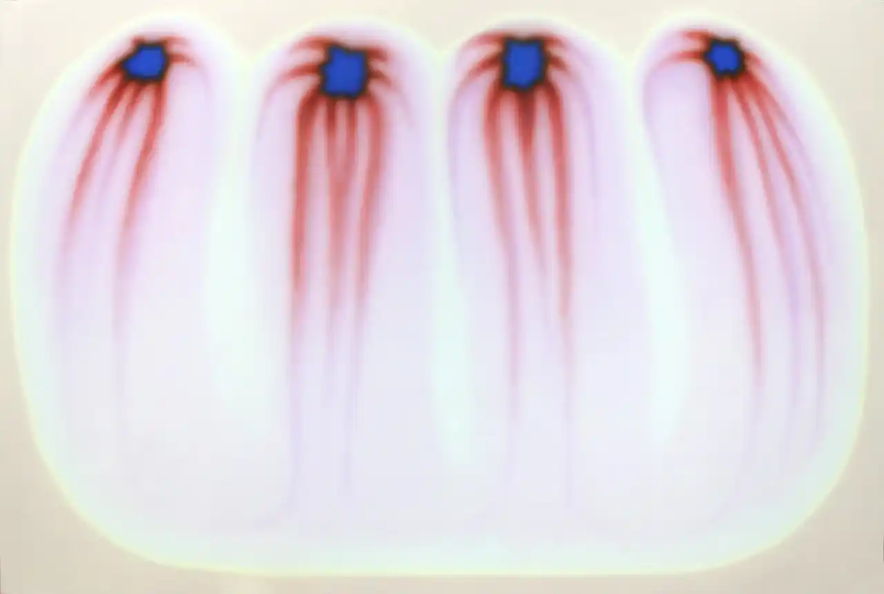 【京都岡崎 蔦屋書店】京都在住のアーティスト、中村夏野による個展「かわること、くりかえすこと」を8/30(土)より開催