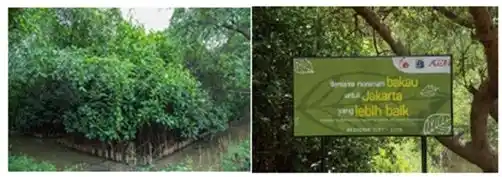 ７月１９日(土)第１回「インドネシア タンゲラン植樹」を実施