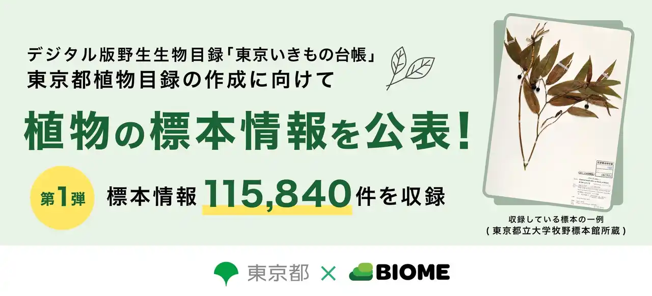 【東京都】 「東京いきもの台帳」植物の標本情報を公表！