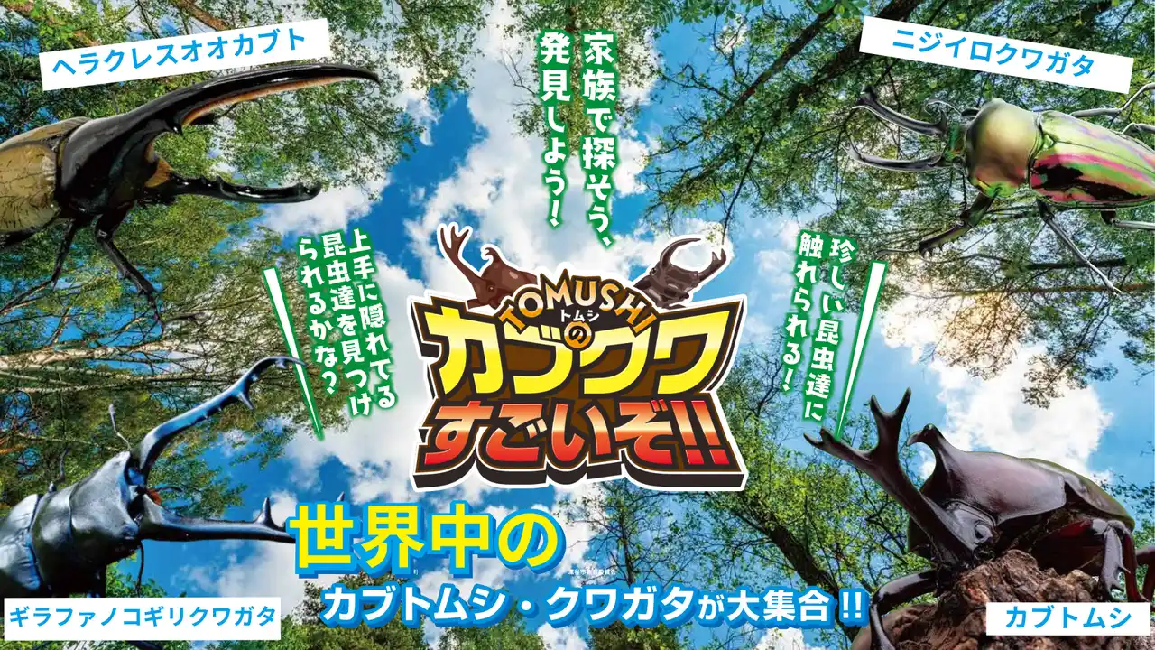 ふかや花園アウトレットに人気の昆虫がやってくる「TOMUSHIのカブクワすごいぞ!!」開催 7月26日（土）～8月24日（日）