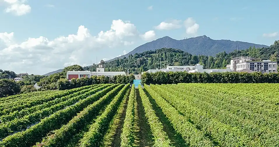 【ホテル日航つくば】『つくばのワインでテロワールを愉しむ2025』を開催