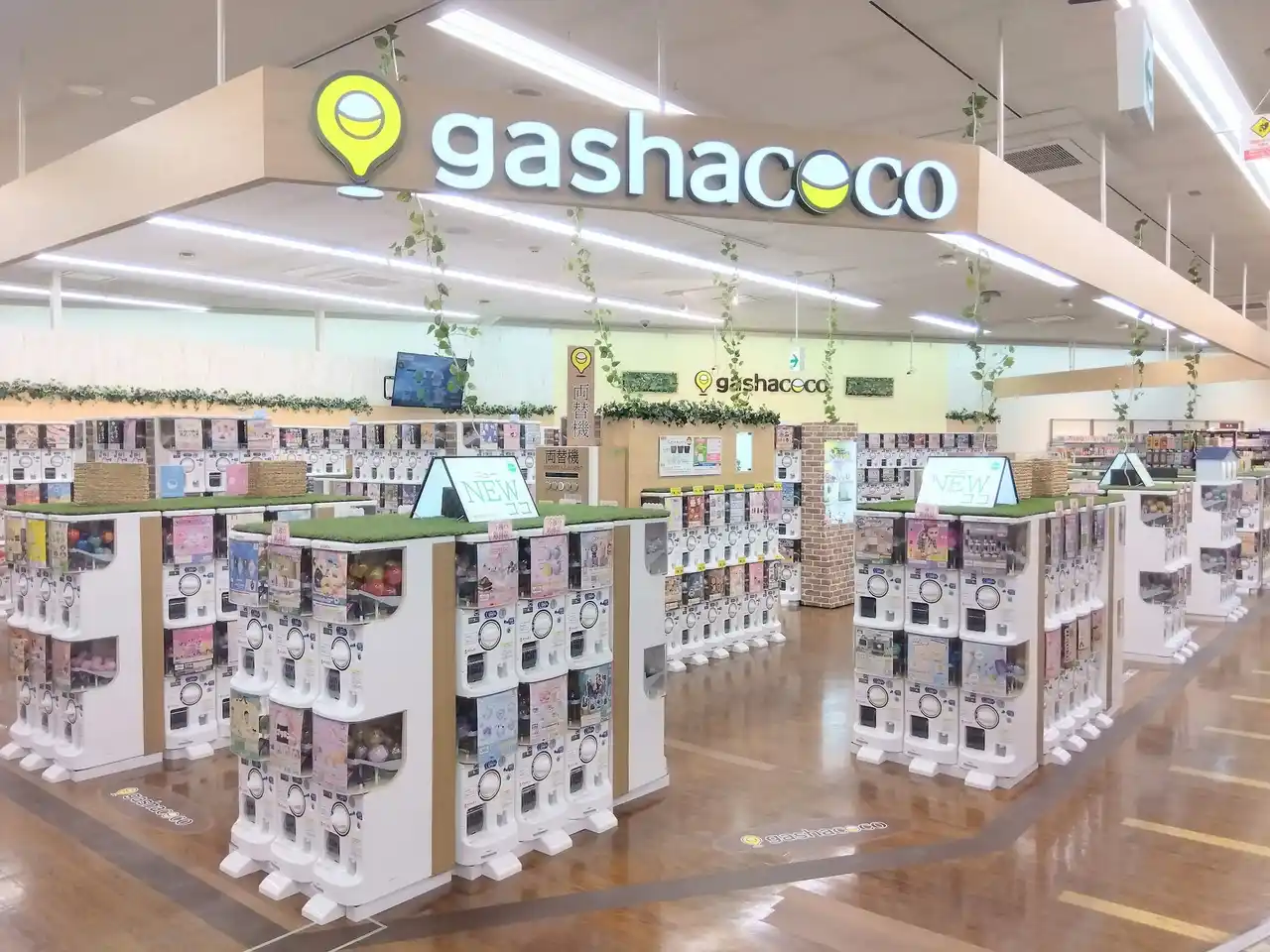 【株式会社ハピネット】 カプセルトイ専門店『gashacoco（ガシャココ）』のフランチャイズ店舗２８号店『gashacoco 平安堂伊那』を７月25日(金)オープン！