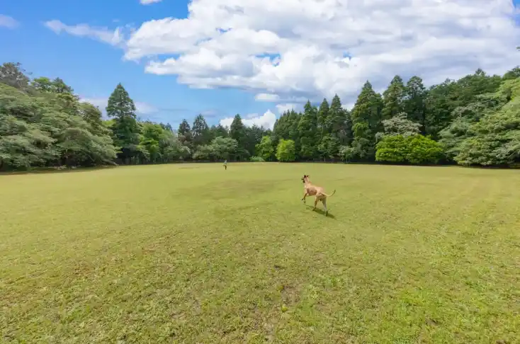 【愛犬との冬旅をもっと自由に！冬季特別プラン最大30％OFF】1日1組限定貸切プライベートドッグヴィラ「Imitelis Biotop-イミテリスビオトープ-」