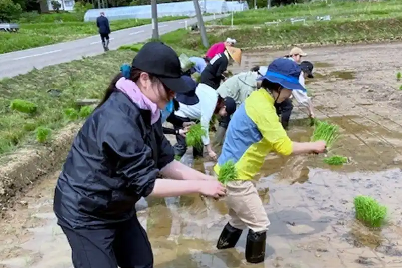 【株式会社カクヤス】 女性杜氏が手がける日本酒「天晴（あっぱれ）」を12月よりカクヤス限定販売、新潟酒販主催“女性のための日本酒づくり”プロジェクト「READY!LADY!READY!」に参画