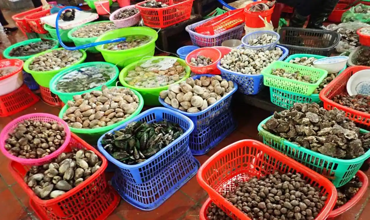 【独立行政法人国立高等専門学校機構】 【和歌山高専】博物館標本×DNA解析「ミュゼオミクス」で新知見：ベトナムの食用巻貝は50種超