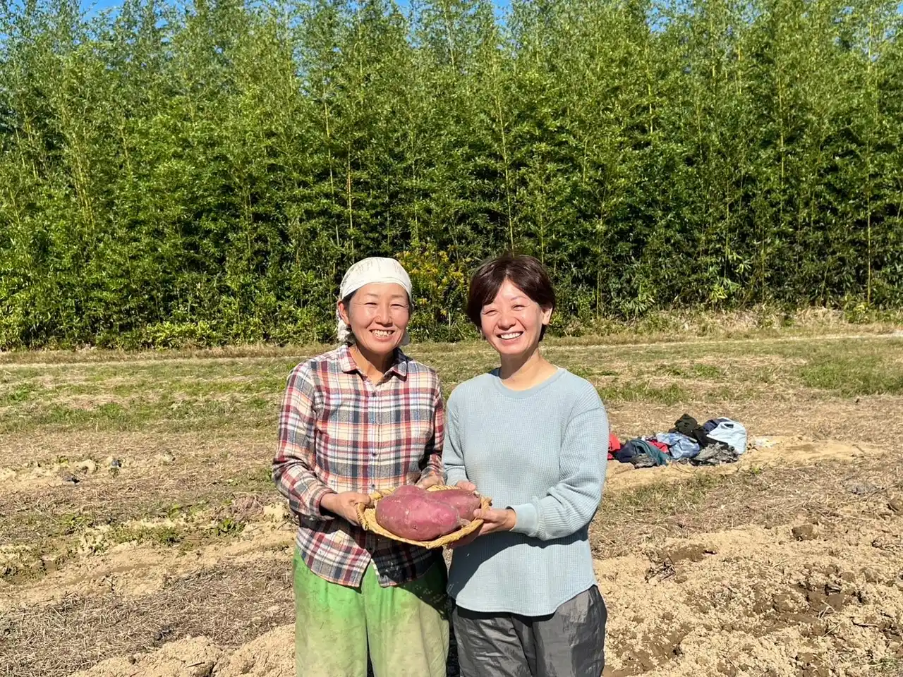 【加賀商工会議所】 土づくりから食卓まで。やさしい甘さがつまった久保田ファームの「半生干芋（はんなまほしいも）」そのやさしい甘さの秘訣を取材