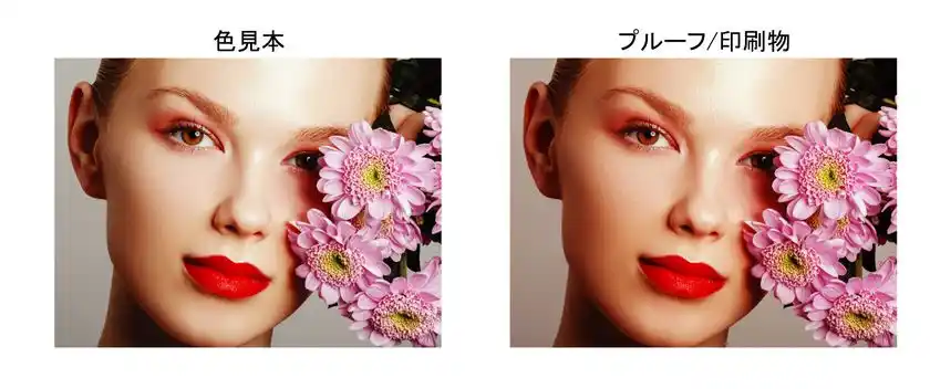 色見本とプルーフ/印刷物