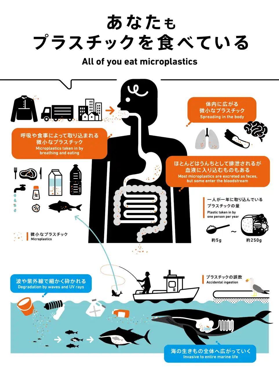 自由研究にもピッタリ！ヒトもプラスチックを食べている！？水族館アトアで海ごみ企画展にちなんだ体験型ワークショップ開催！