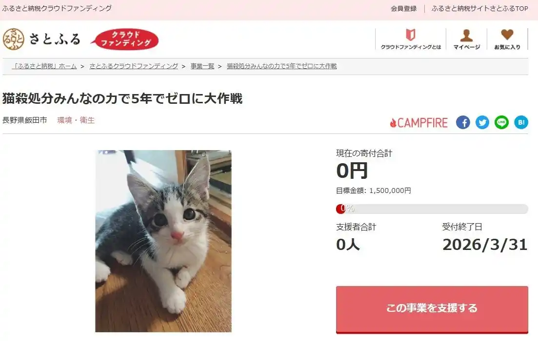 長野県飯田市とさとふる、猫殺処分を減らすため寄付受け付けを開始