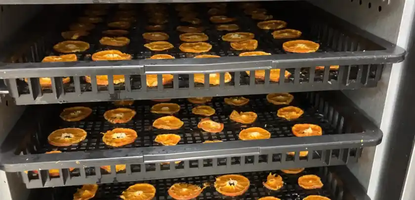 規格外みかんの乾燥加工作業