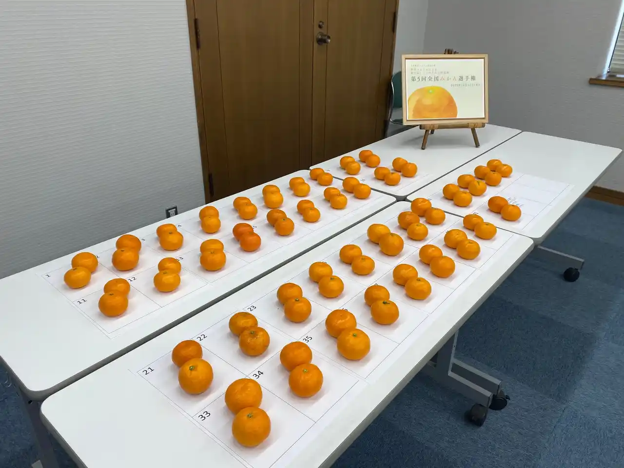 おいしい「みかん」NO.１が決定！今年の日本一は、サンヤ農場 （和歌山県かつらぎ町）「ゆら丸」に決定！