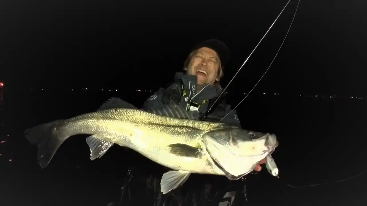 【テレビ大阪株式会社】 【THEフィッシング】大潮狙い撃ちで圧巻の爆釣劇　厳寒のウェーディングシーバス／1月31日(土)放送