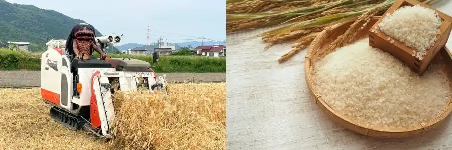 【川西阪急スクエア】「HYOGOローカルマルシェ」を川西阪急スクエアで初開催。