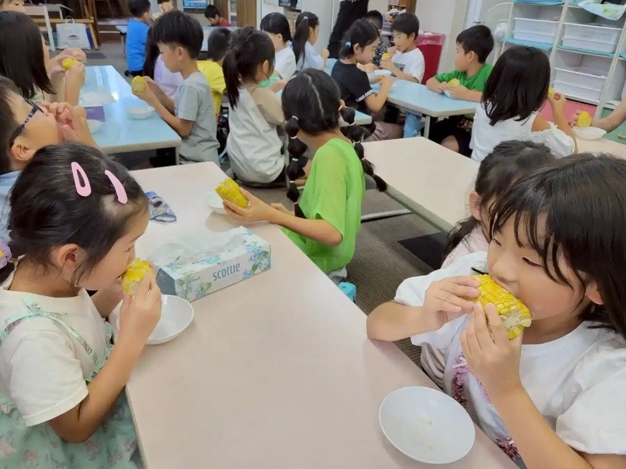 【ジャパンフリトレー株式会社】 ＜資源循環型社会の実現に取り組む茨城県の2社が協働＞子ども食堂にトウモロコシを約3,000本寄贈～排水汚泥からできた有機入り肥料で栽培～