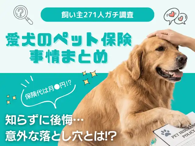 【株式会社エイト】 【飼い主271人に調査】犬のペット保険は月額「●,000円台」が最多！家計を圧迫せずに「万が一」に備えるリアルな相場が判明