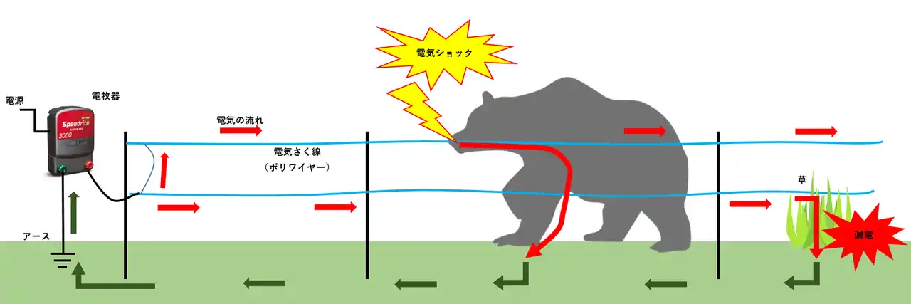 【前田工繊株式会社】 【未来のアグリ】クマ対策用電気さく線「ブルーキングワイヤー」の販売を本格化