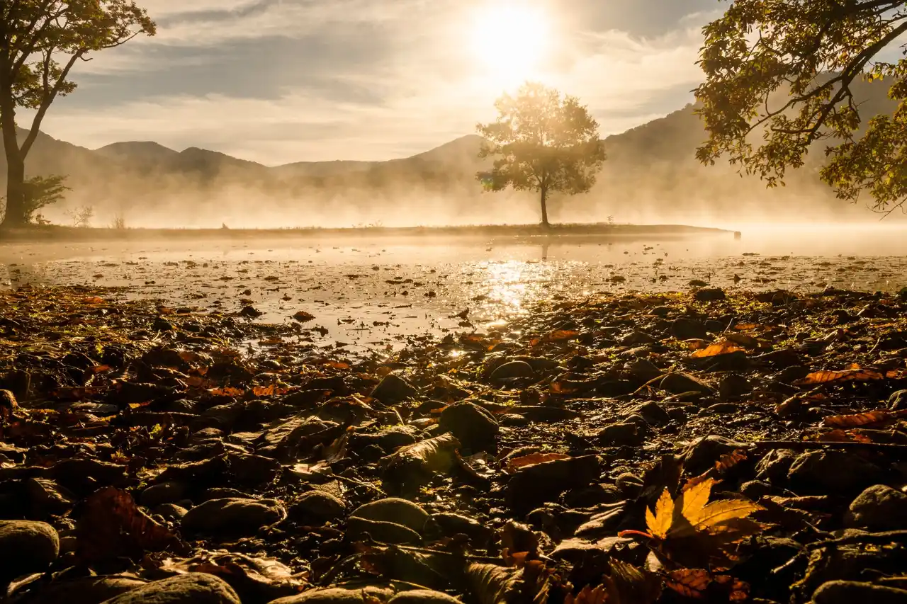【TOWADA TRAVEL】 第39回十和田湖の四季写真コンテスト、入賞作品が2月28日より約2ヶ月間展示
