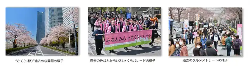 ～綱引き・パレード・グルメストリートなど、コンテンツ盛りだくさん～みなとみらい21 さくらフェスタ2026