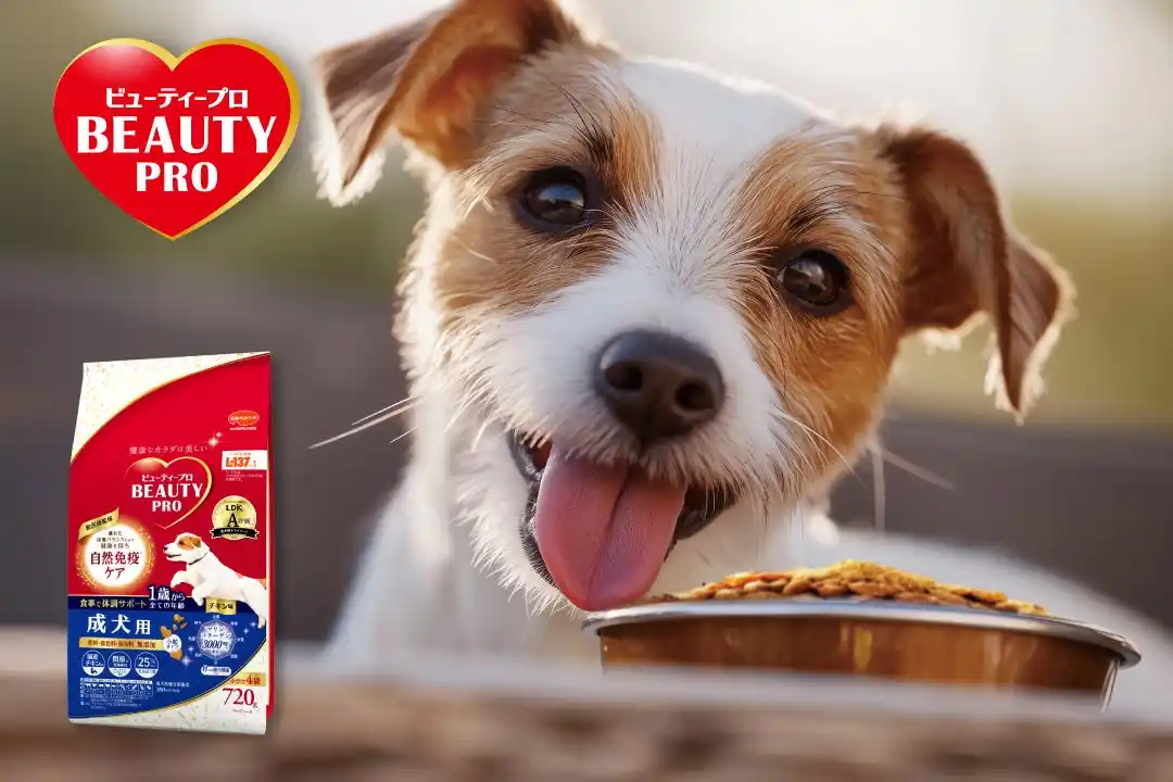 【日本ペットフード】 愛犬用｜カラダに「届かせる」ことにこだわった『ビューティープロ ドッグ』から、小型犬にぴったりな新サイズが新登場！