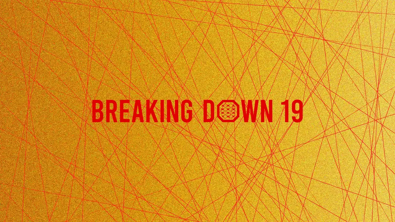 【株式会社ファイアーキッズ】 ファイアーキッズがブレイキングダウン19のゴールドスポンサーに就任