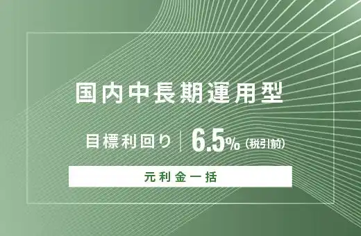 オルタナティブ投資プラットフォーム「オルタナバンク」、『【元利金一括返済】国内中長期運用型ID907』を公開