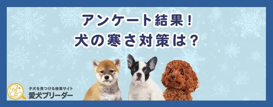 【調査結果】犬が寒いと感じるサインは？飼い主200人に聞いた冬の寒さ対策！