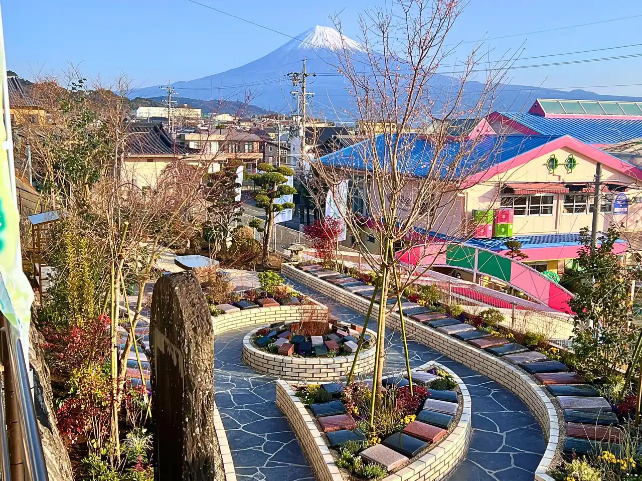 家族の負担だけでなく「供養の気持ち」も大切に――調査で見えた、樹木葬に広がる“個別で供養する場所”を求める声