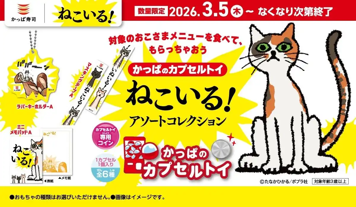 【カッパ・クリエイト株式会社】 あれ？！待合室にも？！タッチパネルにも？！シリーズ累計20万部越え！迷作絵本『ねこいる！』の世界観が楽しめるかっぱのカプセルトイに「ねこいる！ アソートコレクション」が初登場！