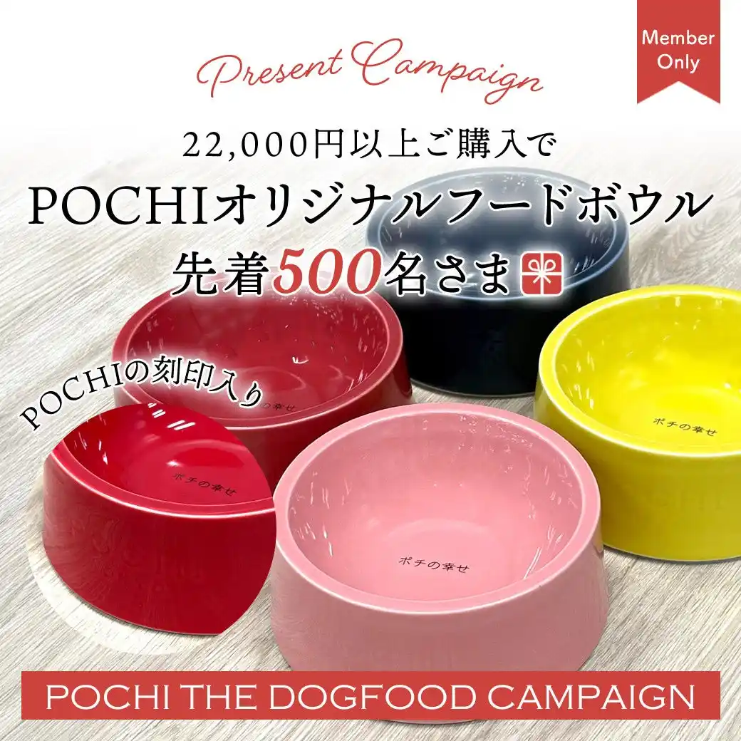《POCHI》誕生祭限定　オリジナルフードボウルプレゼント＆スペシャルデリ発売
