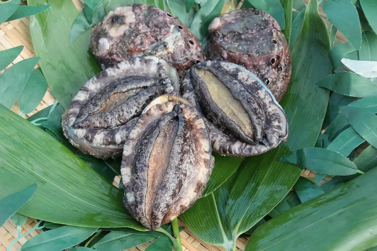 【北海道室蘭市 ふるさと納税】ふるさと納税返礼品に新たな海産物を追加～地域資源を活かした取り組み～