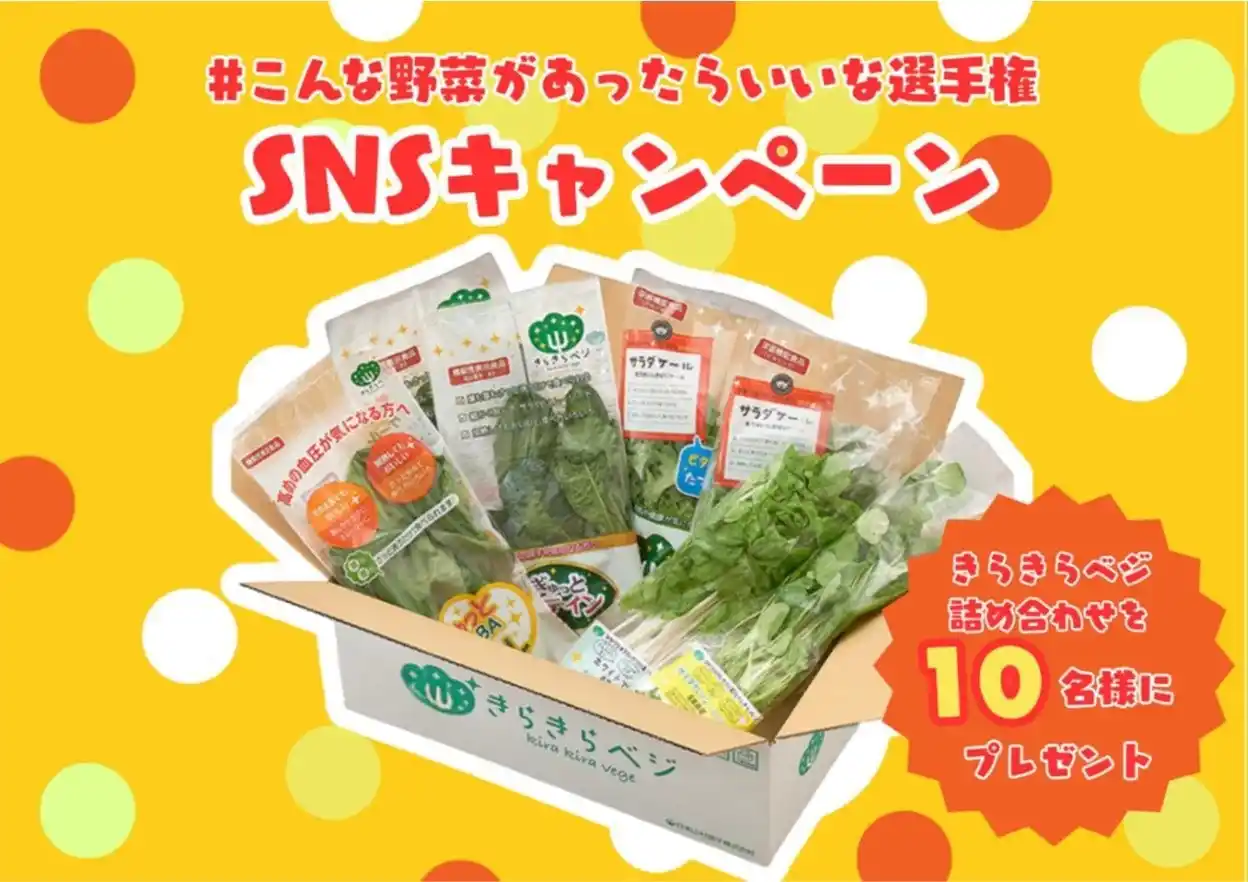 【日本山村硝子株式会社】 猛暑や豪雨、天候に左右されない“安定供給”で、野菜の価格高騰を解決へ”未来の食卓”の救世主 植物工場「きらきらベジ」、SNSキャンペーンを開催