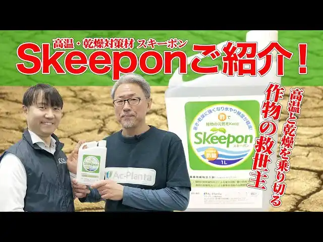 【アクプランタ株式会社】 【夏野菜の猛暑対策】今夏こそスキーポンで暑さ・乾燥から作物を守る！