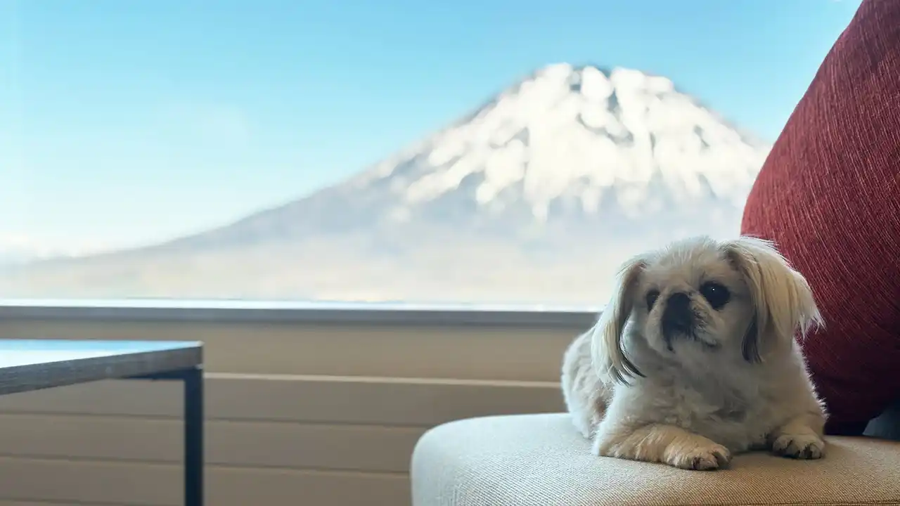 【ヒルトンニセコビレッジ】 ヒルトンニセコビレッジで、 “ワン”ダフルなステイを！