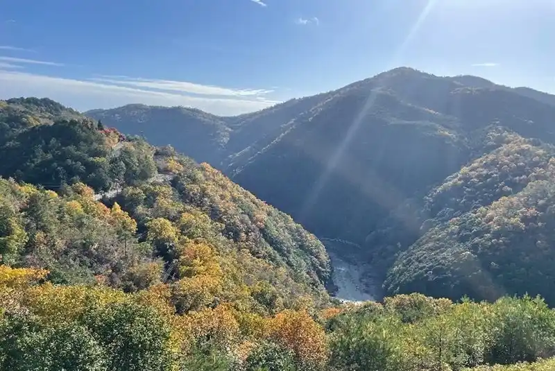 【一般社団法人　日本自動車連盟】 【JAF京都】新緑美しい嵐山-高雄パークウエイでJAFコラボイベントを開催!