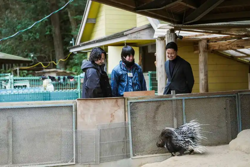 ヤマアラシを見守る三者