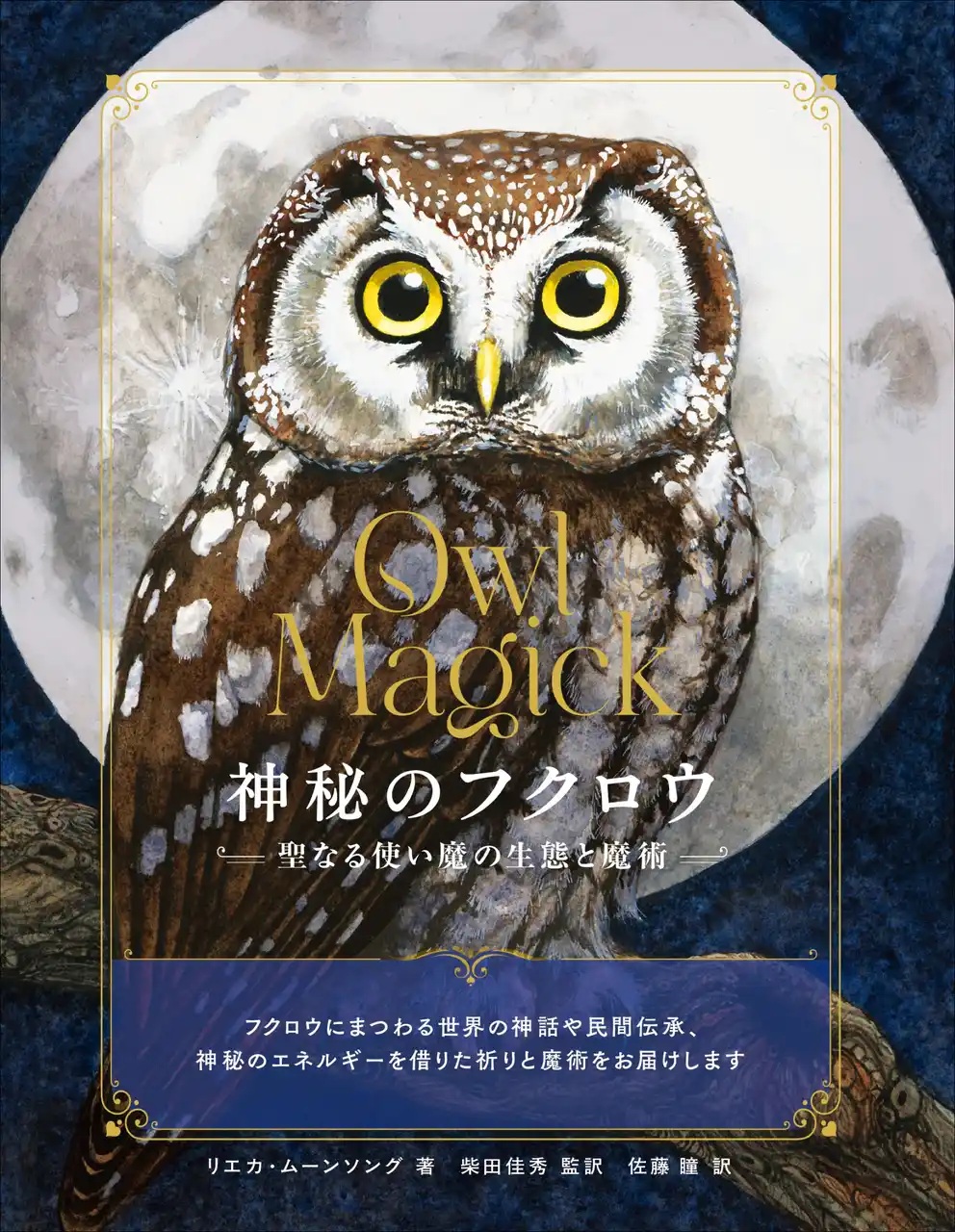 魔法世界と切り離せない使い魔の生態と伝承、魔術の実践レシピ集。『神秘のフクロウ	』9月発売