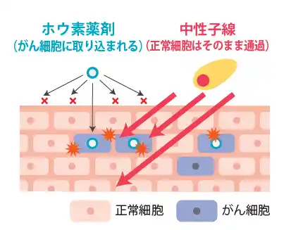 【リゾートトラスト株式会社】 欧州臨床腫瘍学会 2025における国内第II相臨床試験結果の発表に関するお知らせ