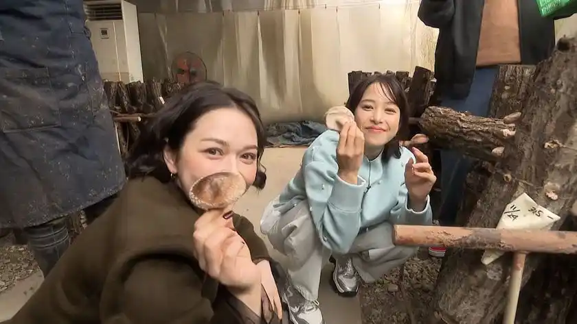 シイタケを収穫する村重杏奈と鷲見玲奈