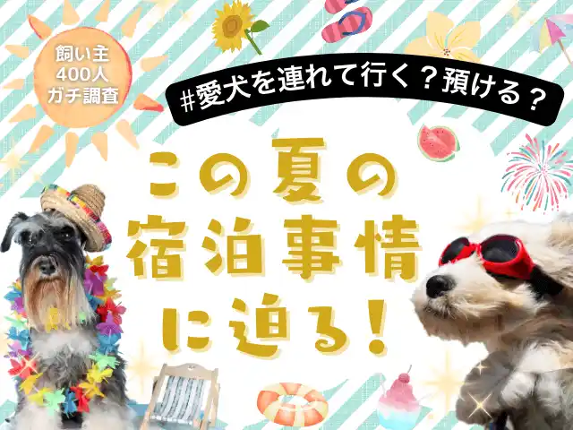 【株式会社エイト】 【飼い主400人に調査】夏の旅行、愛犬は一緒？預ける？みんなのリアルな選択とは！