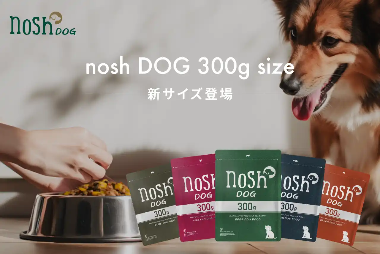 【ナッシュ株式会社】 「nosh DOG」から10kg前後の愛犬に最適な300gサイズが12月10日（水）に新登場