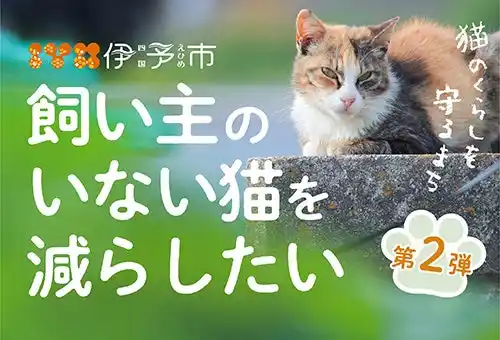 【愛媛県伊予市】『猫のくらしを守るまち』を目指してガバメントクラウドファンディング(R)を実施中！