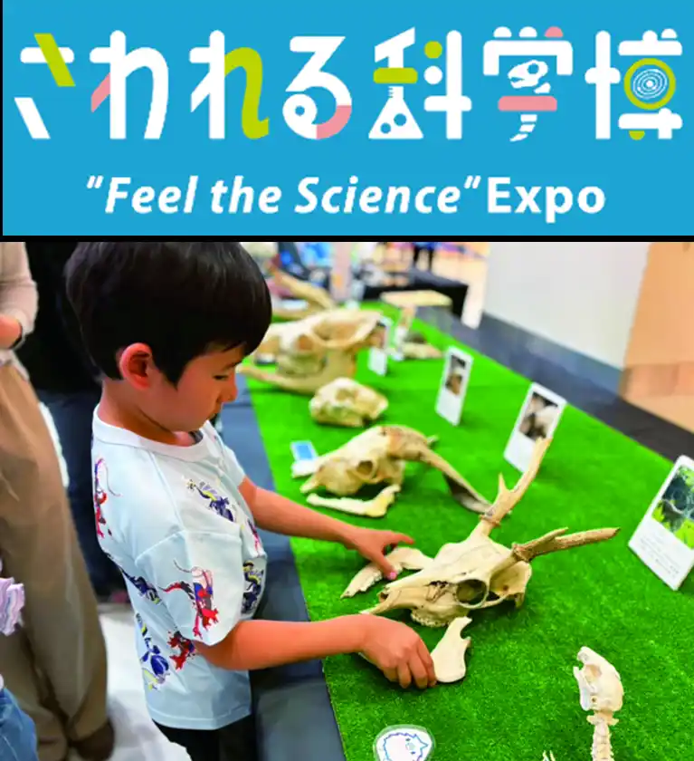さわれる科学博