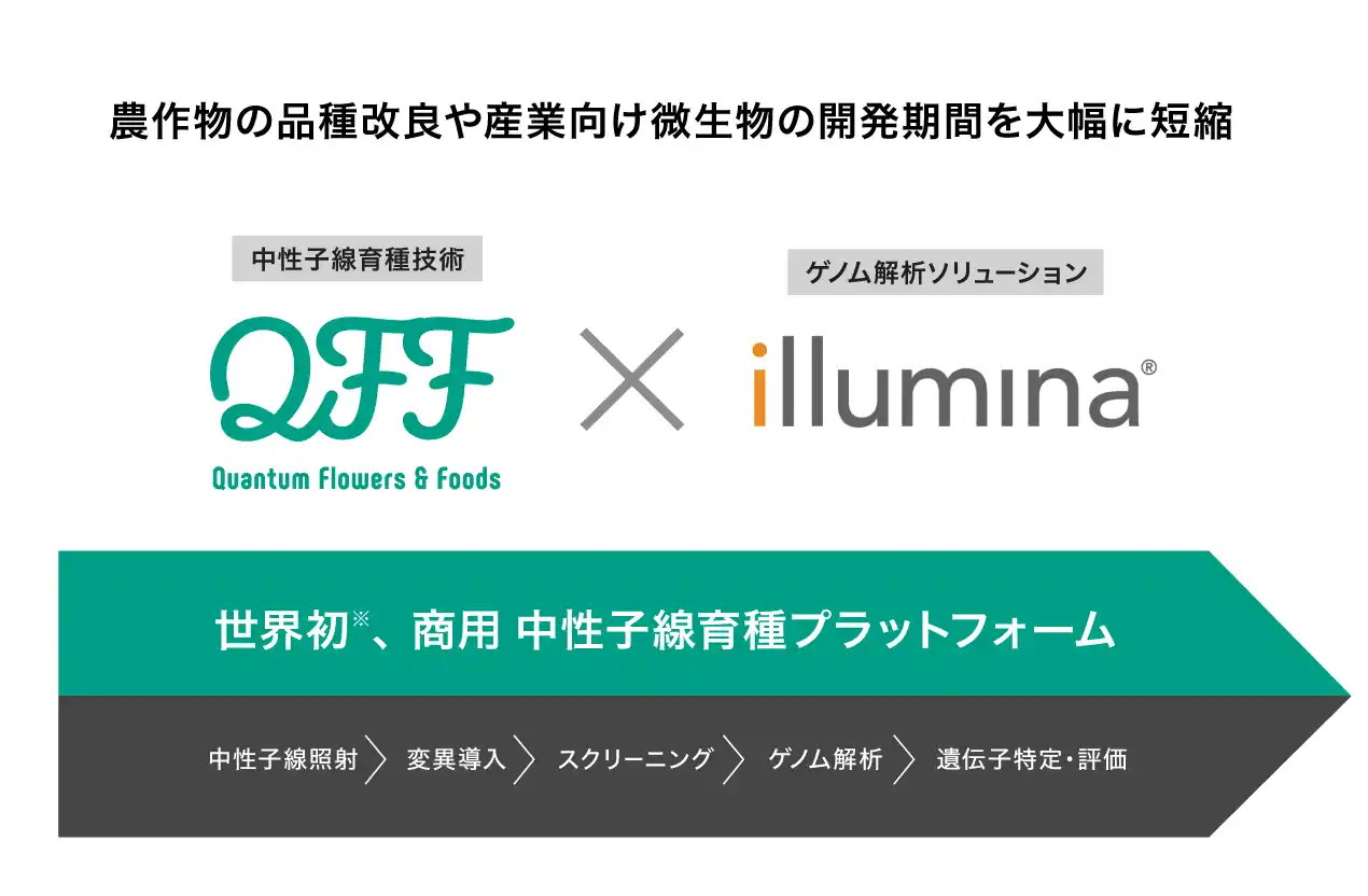 【QFF】世界初※の『中性子線育種プラットフォーム』を本格商用化