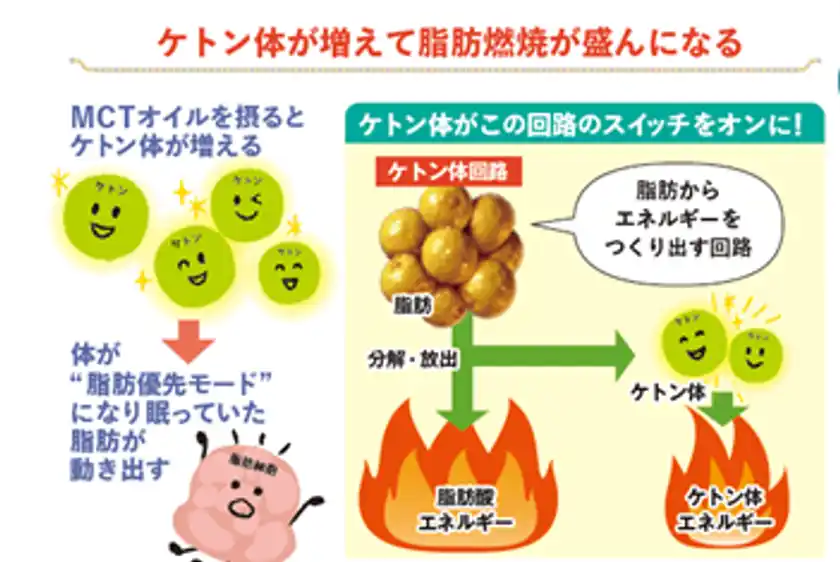 MCTオイル効果 一例(1)