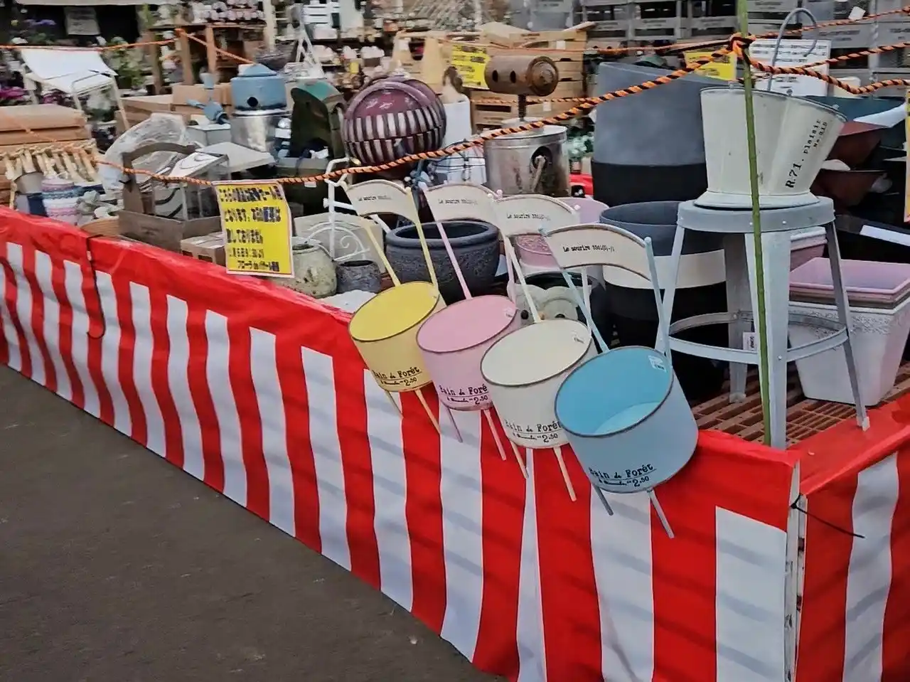 【横浜】新年最初の運試し！グリーンファーム「お宝市」― バイヤー渾身の掘り出し物が勢揃い。何が出るかは来てからのお楽しみ ―