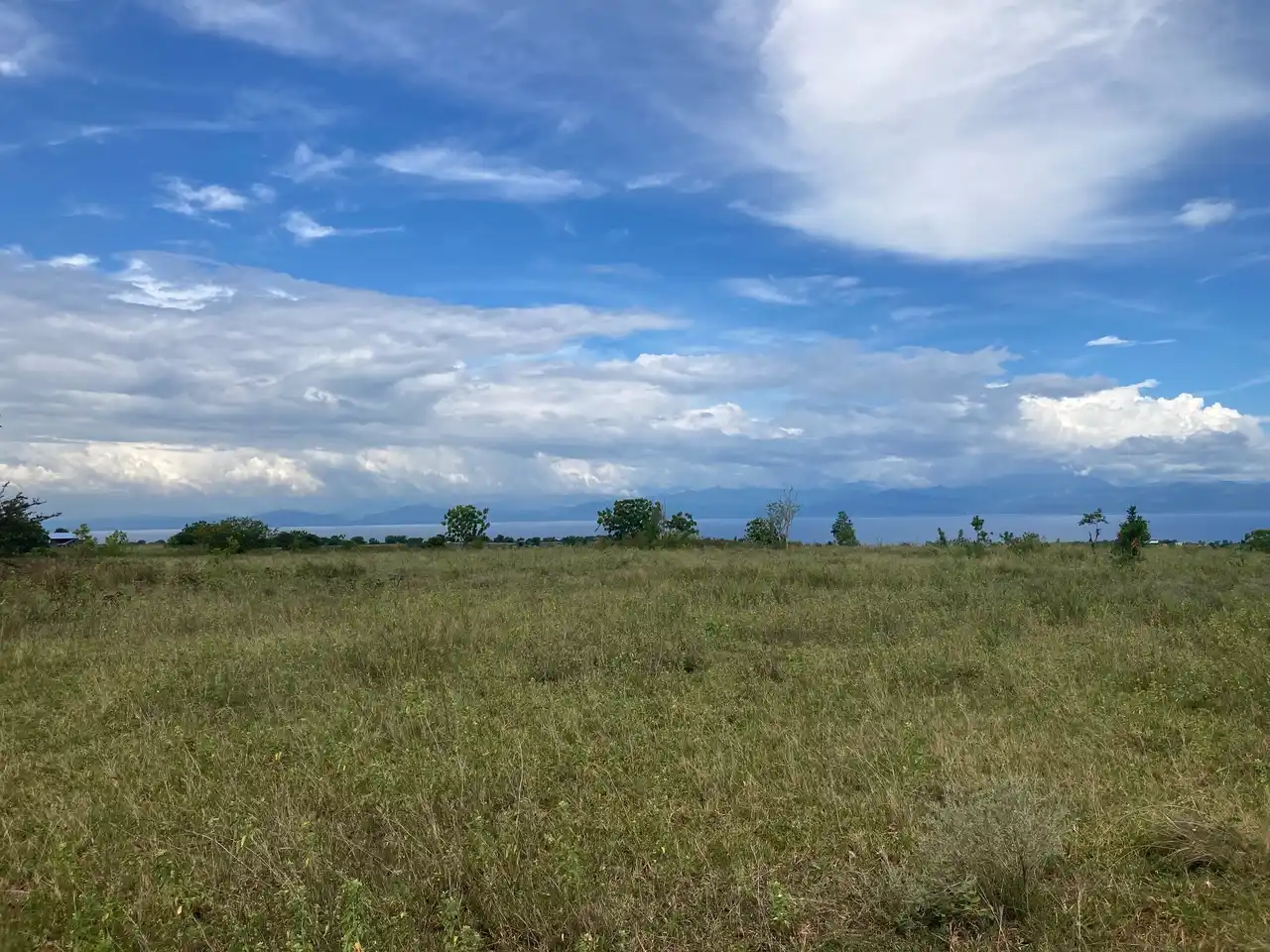 【Tokushima Auction Market 株式会社】 フィリピン ジェネラルサントス市においての最先端農業開発基本合意書に調印